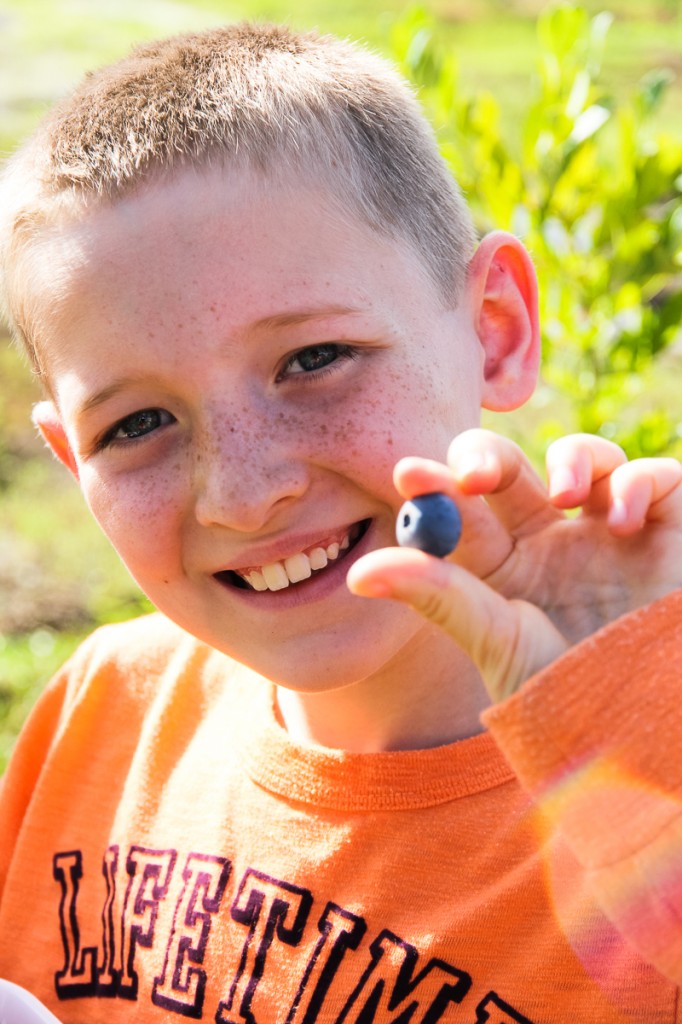 Berry Picking | Festively Made