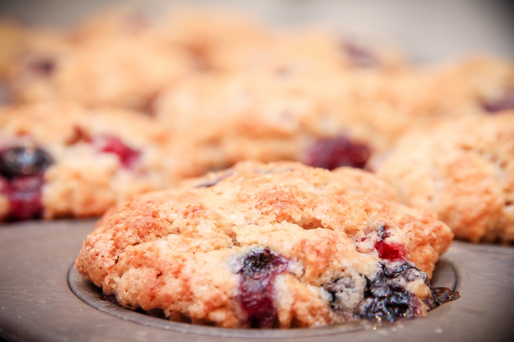 Tri-Berry Muffins | Festively Made