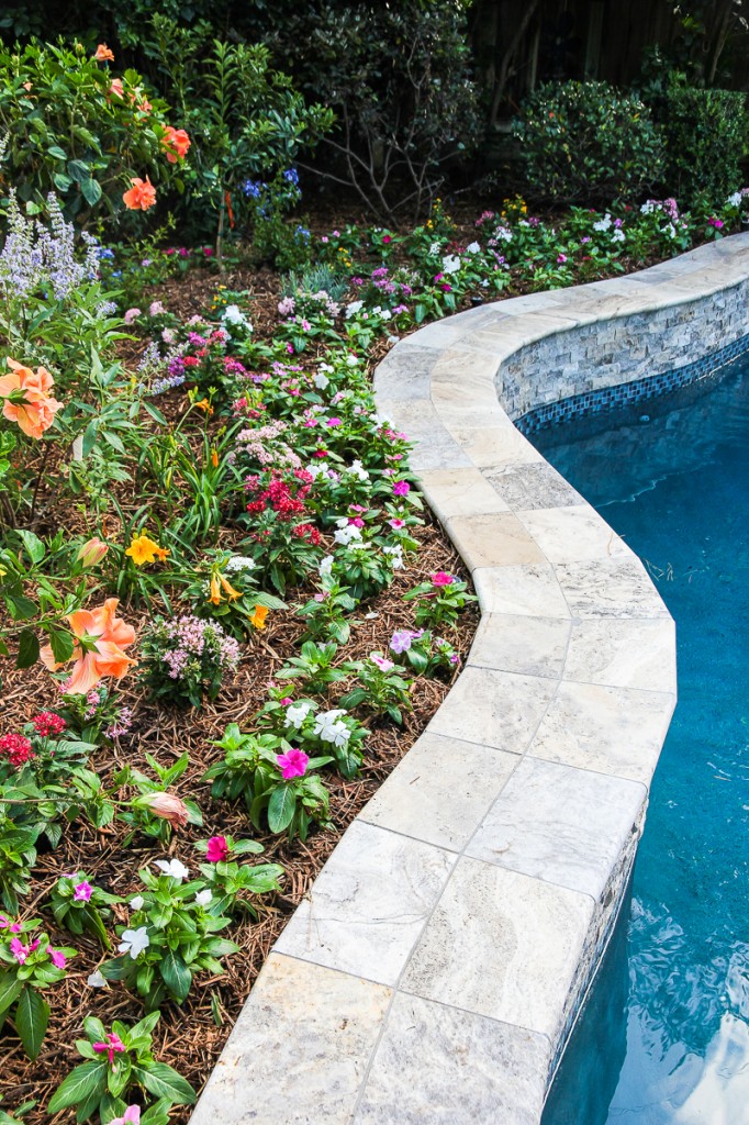 Pool Redo Project  Silver Travertine Coping- Festively Made